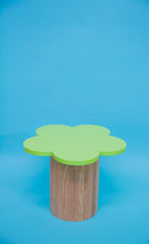 Load image into Gallery viewer, Willow