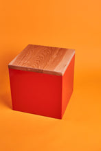 Load image into Gallery viewer, Patricia